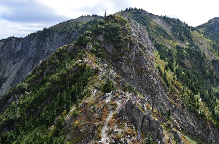 The thin, dicey Whittier Ridge trail weaves through rocky ledges and undergrowth