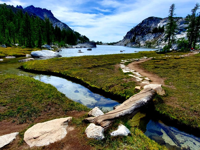 Small bridge in the trail. Photo by Natalie Dagley. Small bridge in the trail. Photo by Natalie Dagley.