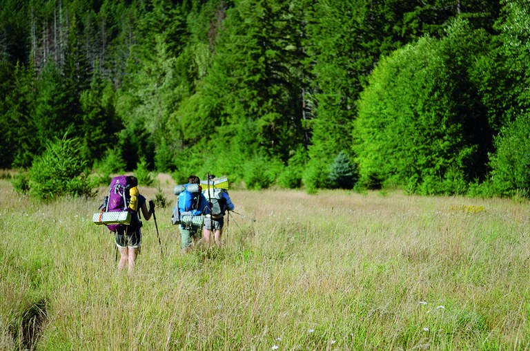 Three teenaged backpackers hike on a trail through tall grass with trees in the background. 