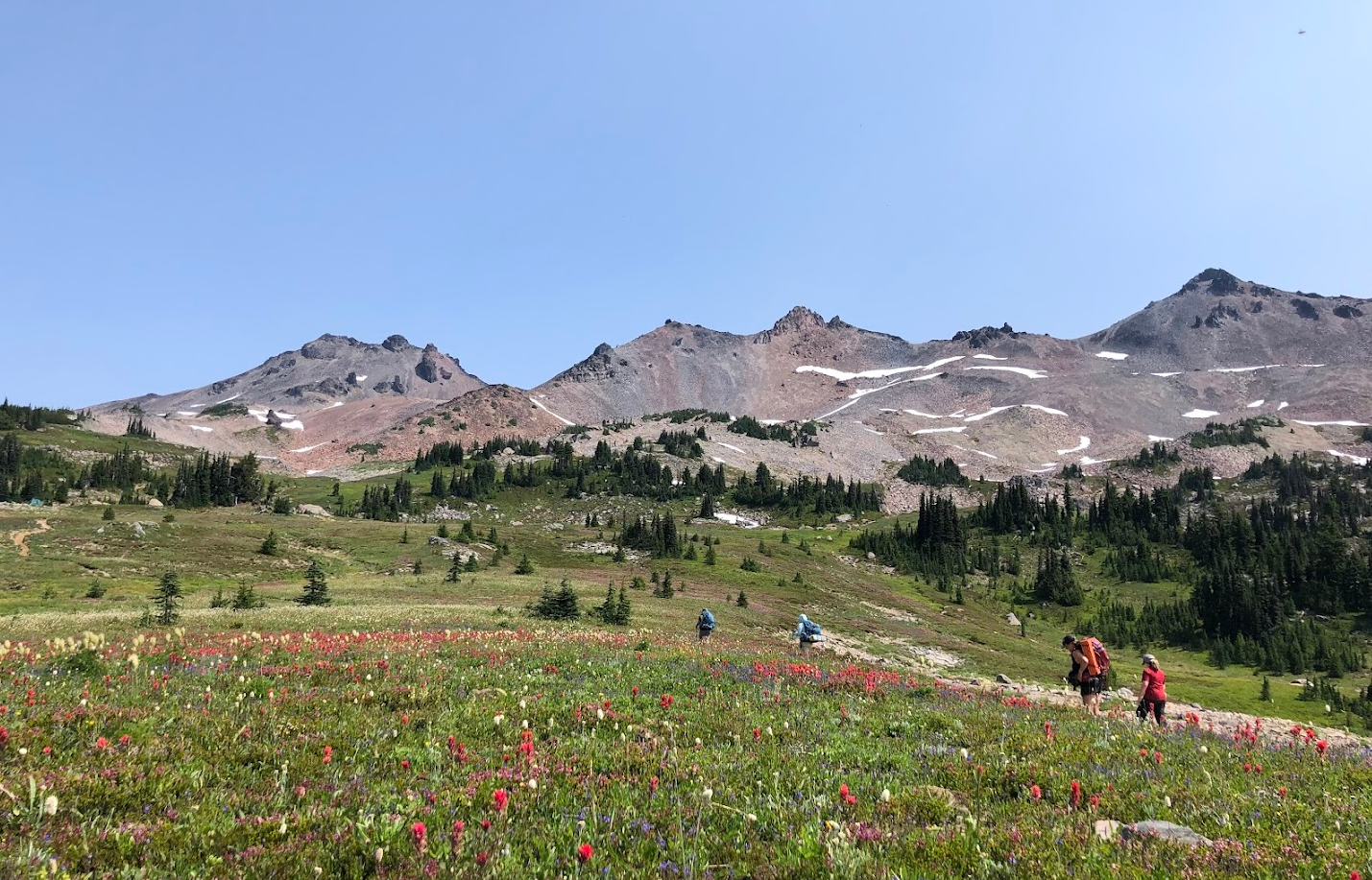 Teens backpacking trip Wild Grief OLT partner July 2024 Teens backpacking trip Wild Grief OLT partner July 2024