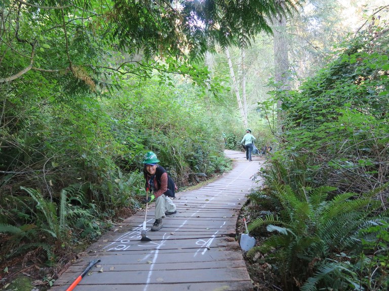 deception pass boardwalk project_linda roe.jpeg deception pass boardwalk project_linda roe.jpeg