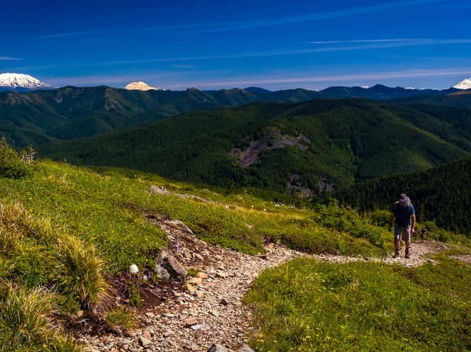 silver star_steve sharples.jpg silver star_steve sharples.jpg