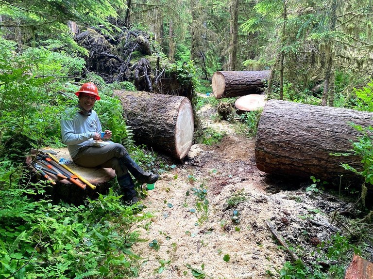 Volunteer sitting next to recently cut logs on the Bogachiel.  Volunteer sitting next to recently cut logs on the Bogachiel.