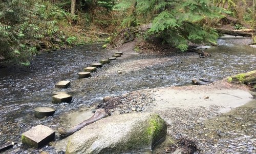 A creek crossing at Boeing Creek Park.