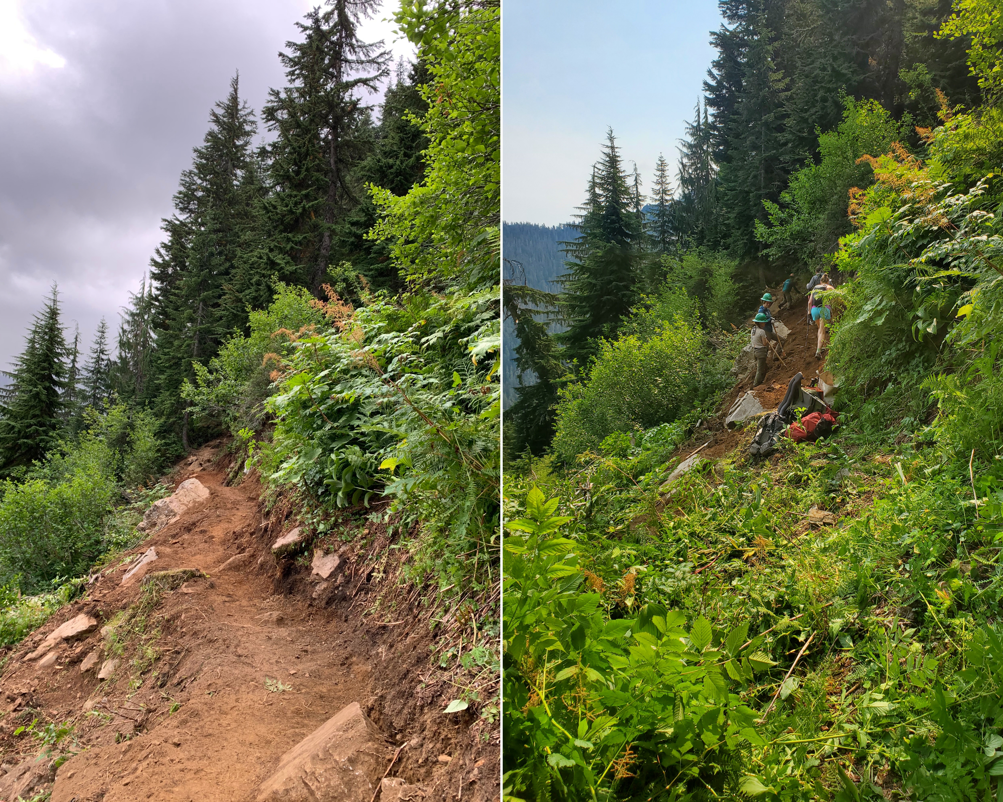 After/before of a stretch of trail near Gothic Basin, cleared in partnership with Washington DNR. Photo by Zack Sklar Two photos. The left is a cleared trail. The right is a brushy trail with LTF crew members working.