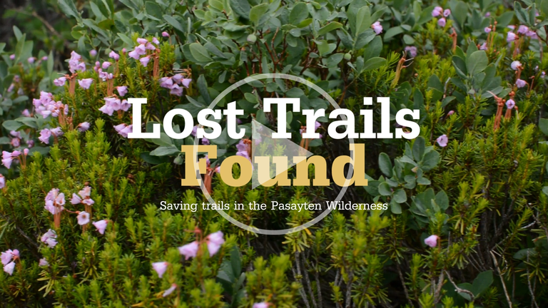 Lost Trails Found: Saving trails in the Pasayten Wilderness is overlaid on an image of foliage.