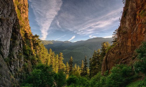 View of the valley below the Palisades trail in Snoquera. Photo by Wyatt Schill.