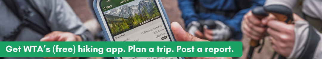 Get the free app. Plan and report