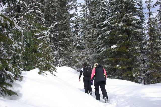 Mount Spokane in the winter is a great place for a snow-filled outing. Photo by Weluv2hike.