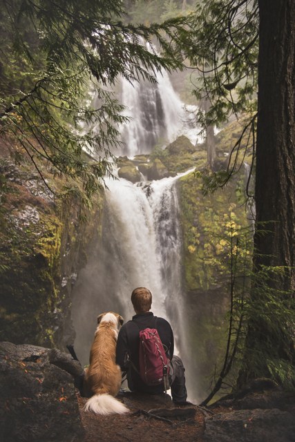 Jennifer Parsons, 3rd Place Hikers in Action 2016