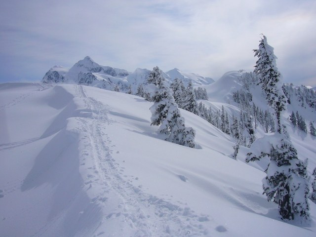 Snowshoeing with Mount Shuksan in the distance. Photo by Martin Bravenboer.