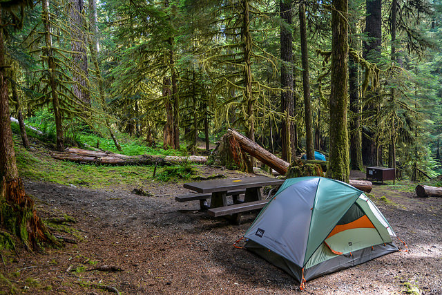Camp in Olympic National Park