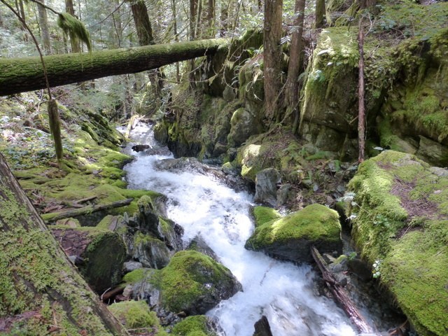 Cascade along Cow Heaven. Photo and trip report by Seattle-Amy. 