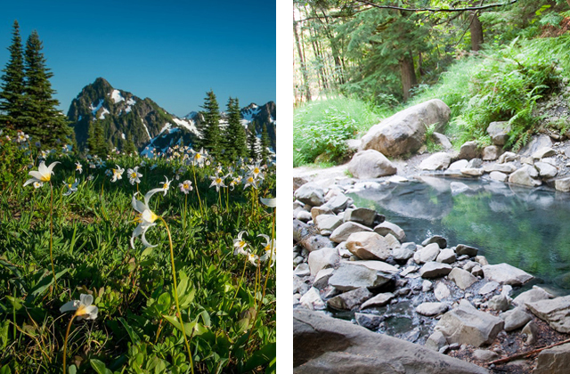 Breathtakingly beautiful Appleton Pass provides a great backdrop for trailwork, while the Olympic Hot Springs provides an excellent campsite after work. Photos by Ponder and Ken. 