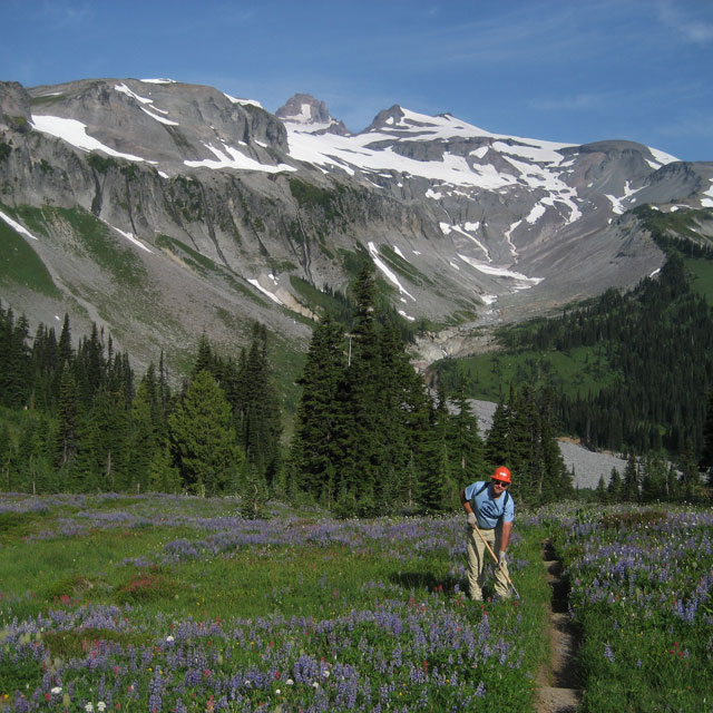 Work in the shadow of craggy mountains, surrounded by the beautiful flora of Washington state on a WTA BCRT. Photo by Pam McRae.