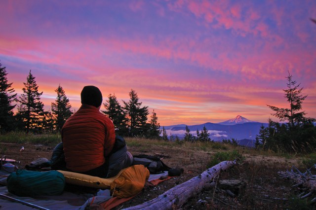 The PCT near Big Huckleberry Mountain. Photo by Tami Asars. 