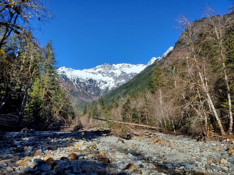 baker river_tsuga.jpeg