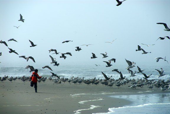 Be a part of the world of Washington's coast. Photo by Susan Elderkin. 