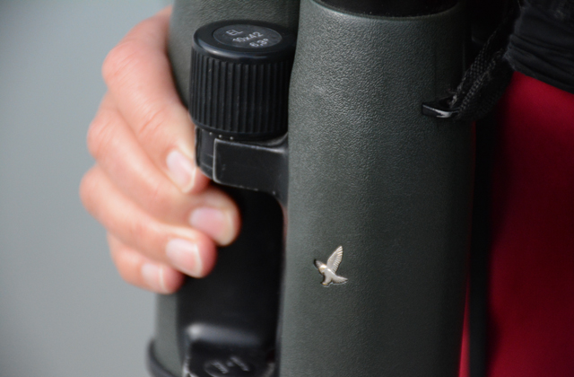 The tools of the birdwatching trade. Photo by Anna Roth. 