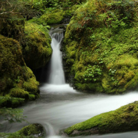 Little Falls on the Upper Big Quilcene River. Photo by fyodorova.