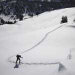 Snowshoeing Paradise