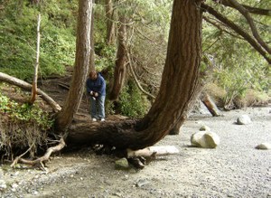 Gazzam Lake and Close Beach