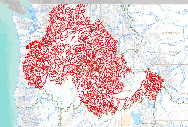Columbia River trace
