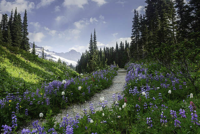 WTA's new Executive Director will help guide our efforts to protect your favorite trails around the state. Photo by Arpad Jasko