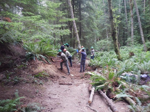 Volunteers at Oyster Dome earlier this year. Photo by Arlen Bogaards. 