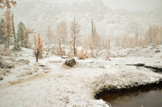A flurry of snow caught nnylyssim and her hiking buddy at Lake Ingalls recently. Photo by nnylyssim. 
