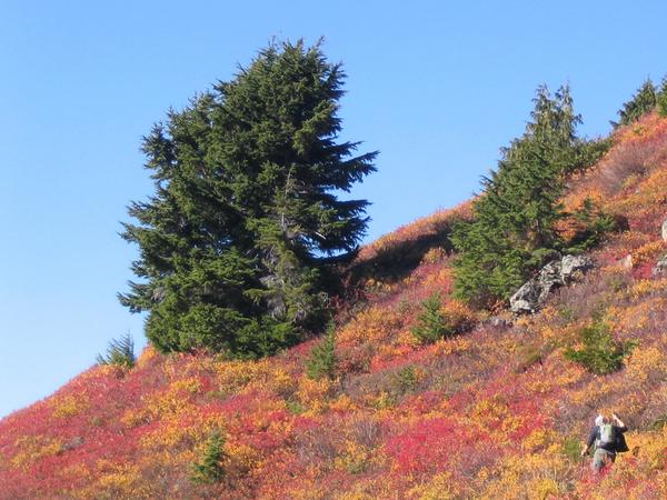 Bare Mountain. Photo by Quantum Guru.
