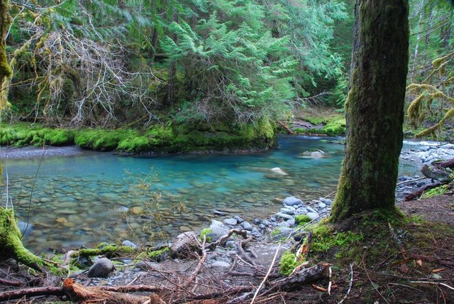Gray Wolf River. Photo by Hikerchick.