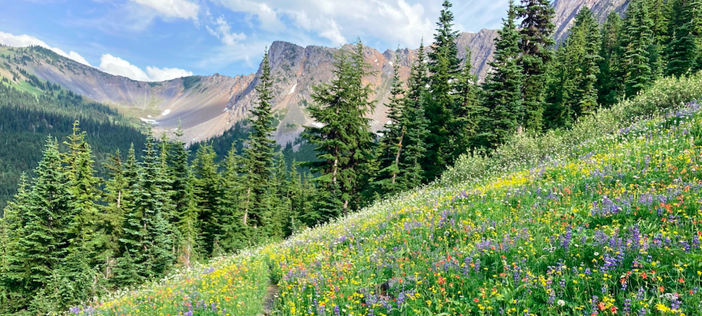 Weekend backpacking trips