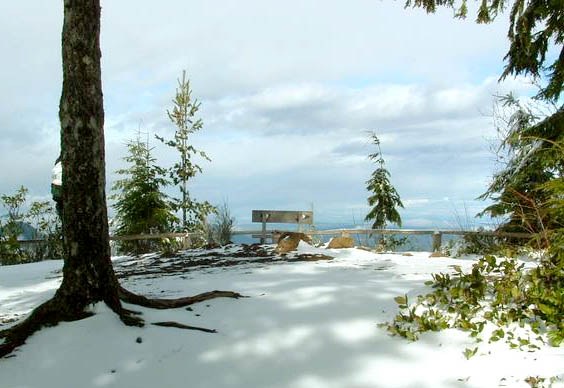 A bench makes a nice resting stop atop Mt. Walker. Photo by skimpyphud.