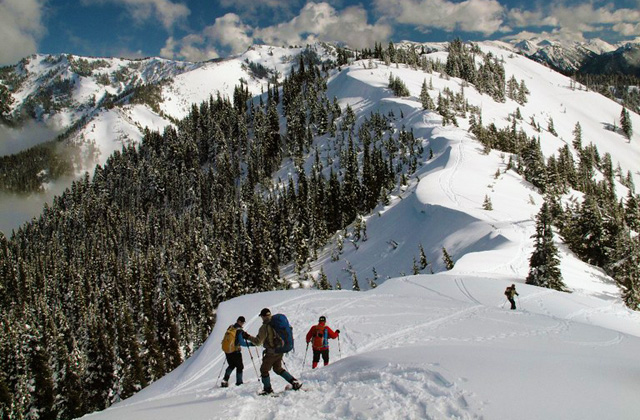 Hurricane Hill Snowshoe - ''On a beautiful, clear day this is a great snowshoe for scenery and the experience of hiking in some good, dry snow. There are cornices along the north side of the ridge trail to avoid, but there is room along the ridge to hike and avoid being near them.'' Photos by j brink. 