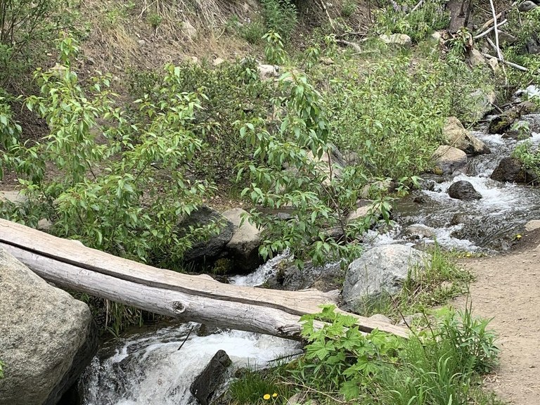 A creek babbles down a green hillside 