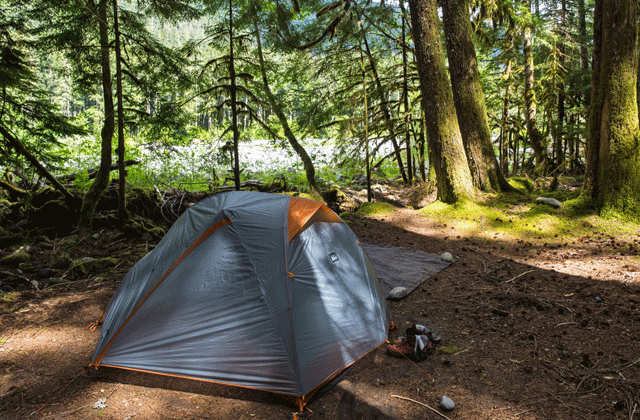 Home away from home for a week. Photo by Archana Bhat. 