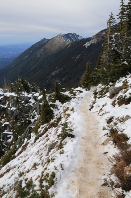 Icy trail near the summit of Bandera Mountain on March 2. Photo and trip report by Paul Kriloff. 