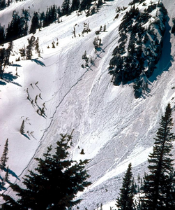 They [loose-wet avalanches] can contain enough mass to cause significant damage to trees, cars or buildings. Photo and quote by Northwest Avalanche Center.