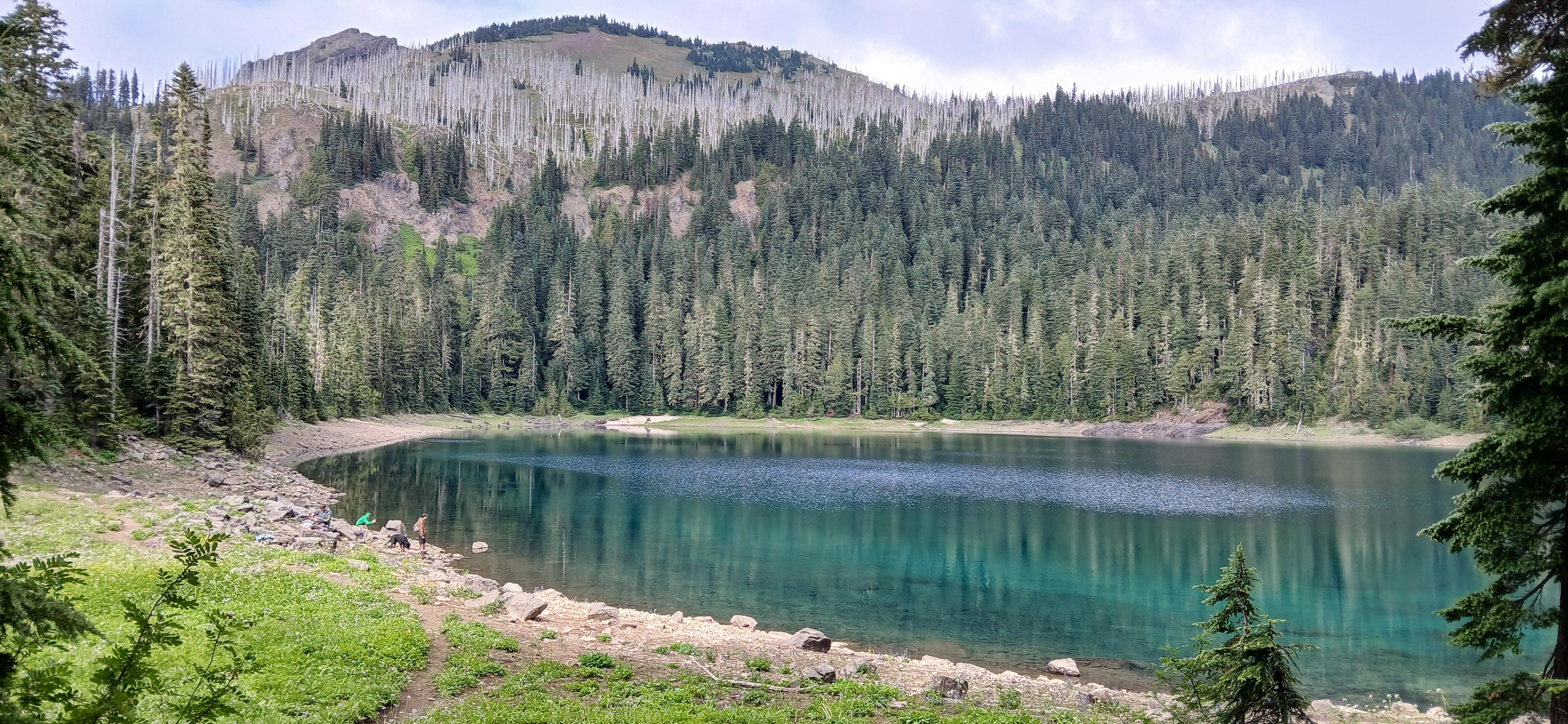 A large, sapphire-blue lake sits in a yellow-gree meadow with silvery trees on its shores. 