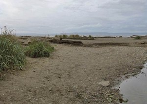 The beach at the terminus of Lunds Gulch. Photo by retromama.