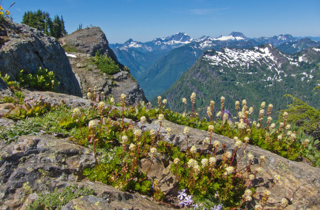 Views from the summit of Mount Dickerman make the steep ascent worth every step. Photo by Suj'n Chon.