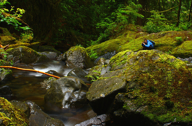 Photographing Murhut Falls 