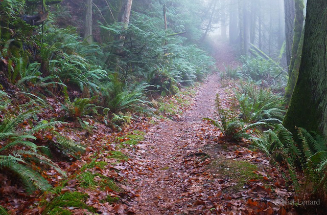 Photo Credit: Kirt Lenard