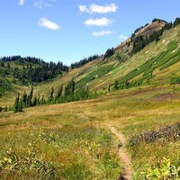 The PCT near Kodak Peak. Photo by Harney 