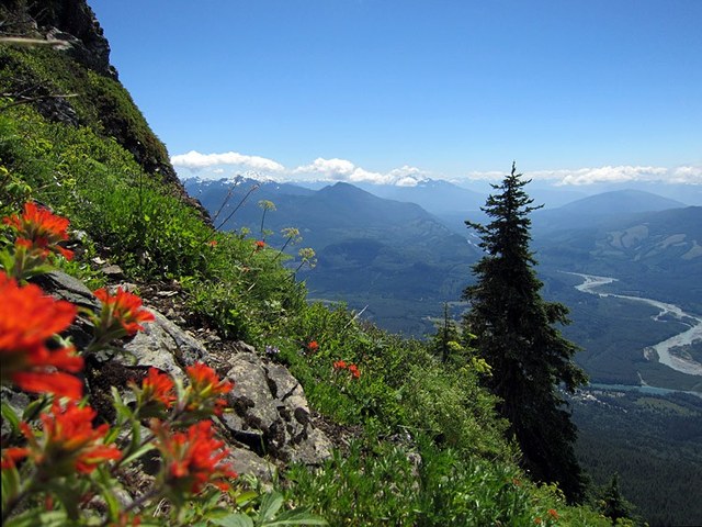 A recent view from Sauk Mountain, one of the trails where the Cascade Butterfly Project monitors butterflies. Photo by Girl and Dog.  