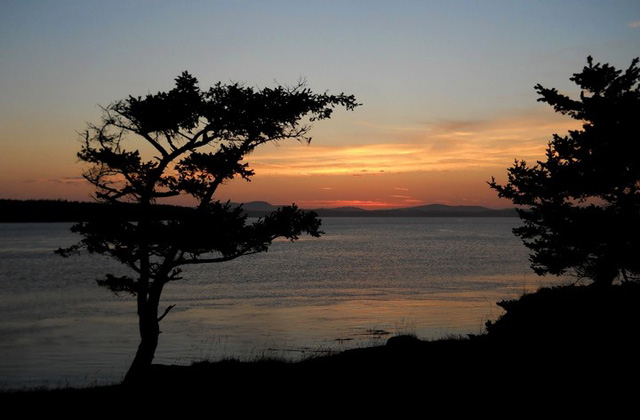 The Shark Reef Sanctuary on Lopez Island. Photo by Treeana. 