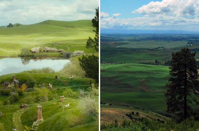 The view of rolling hills from Kamiak Butte Trail reminded us of those Shire hillsides that make such nice, cozy Hobbit holes. Photo by Natasha'n'Boris.