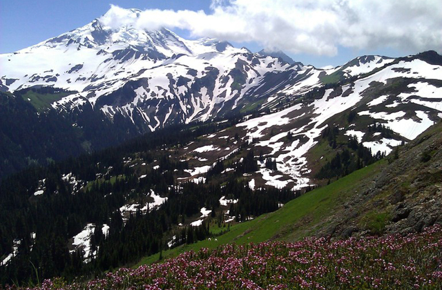 Views of Mount Baker and wildflower-filled meadows await you on the Skyline Divide Trail. Photo by Titti Ringstrom. 