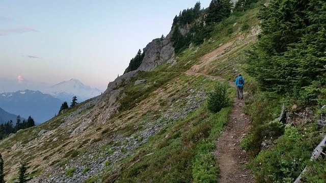 Early ascent of Winchester Mountain Trail near Mount Baker. Photo and trip report by shawnadesiree.